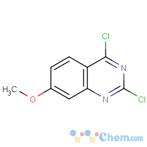 CAS No:62484-31-5 2,4-dichloro-7-methoxyquinazoline