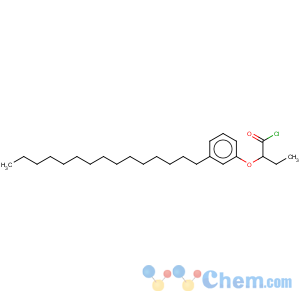 CAS No:62609-88-5 2-(3-pentadecylphenoxy)butyryl chloride