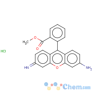 CAS No:62669-70-9 Rhodamine 123