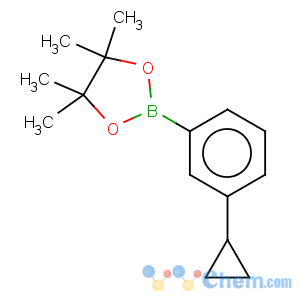 CAS No:627526-56-1 2-(3-cyclopropylphenyl)-4,4,5,5-tetramethyl-[1,3,2]dioxaborolane