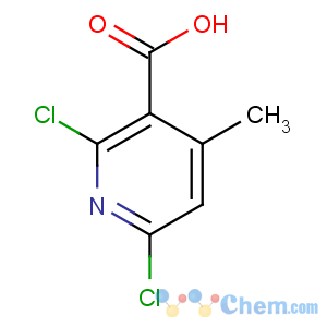 CAS No:62774-90-7 2,6-dichloro-4-methylpyridine-3-carboxylic acid