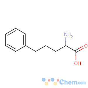 CAS No:62777-25-7 (2S)-2-amino-5-phenylpentanoic acid