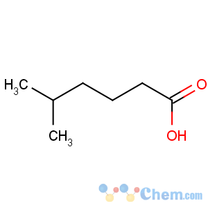CAS No:628-46-6 5-methylhexanoic acid