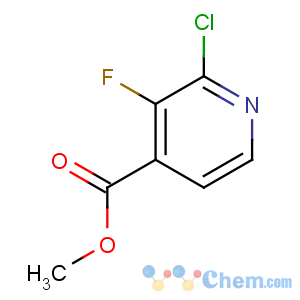 CAS No:628691-95-2 methyl 2-chloro-3-fluoropyridine-4-carboxylate