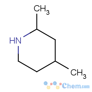 CAS No:6287-19-0 2,4-dimethylpiperidine