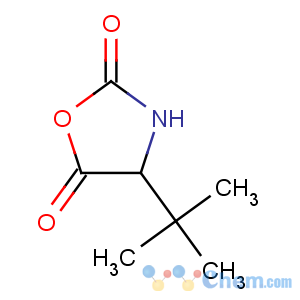 CAS No:62965-56-4 4-tert-butyl-1,3-oxazolidine-2,5-dione