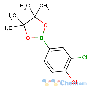 CAS No:629658-06-6 2-chloro-4-(4,4,5,5-tetramethyl-1,3,2-dioxaborolan-2-yl)phenol
