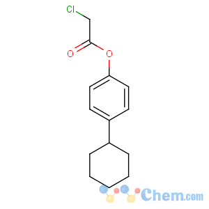 CAS No:6299-68-9 Aceticacid, 2-chloro-, 4-cyclohexylphenyl ester