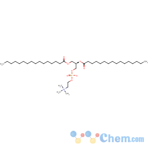 CAS No:63-89-8 1,2-Dipalmitoyl-sn-glycero-3-phosphocholine