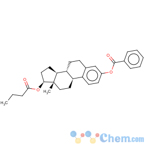 CAS No:63042-18-2 Estradiol-3-benzoate-17-butyrate