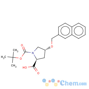 CAS No:630425-40-0 (2s,4r)-boc-4-(2-naphthylmethoxy)-pyrrolidine-2-carboxylic acid
