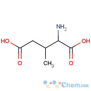 CAS No:63088-04-0 (+/-)-threo-3-methylglutamic acid