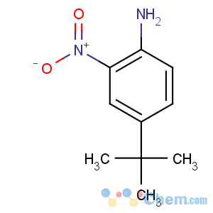 CAS No:6310-19-6 4-tert-butyl-2-nitroaniline