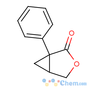 CAS No:63106-93-4 1-phenyl-3-oxabicyclo[3.1.0]hexan-2-one