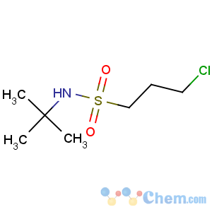 CAS No:63132-85-4 N-tert-butyl-3-chloropropane-1-sulfonamide