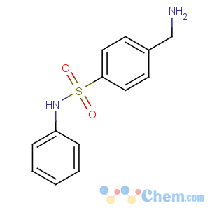 CAS No:6325-23-1 4-(aminomethyl)-N-phenyl-benzenesulfonamide