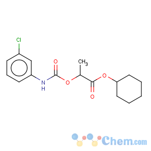 CAS No:6328-37-6 cyclohexyl 2-[(3-chlorophenyl)carbamoyloxy]propanoate