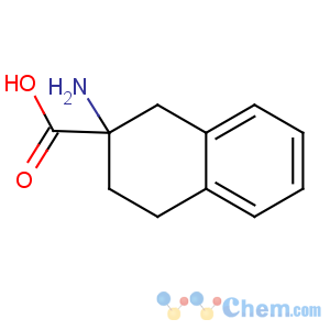 CAS No:6331-63-1 2-amino-3,4-dihydro-1H-naphthalene-2-carboxylic acid