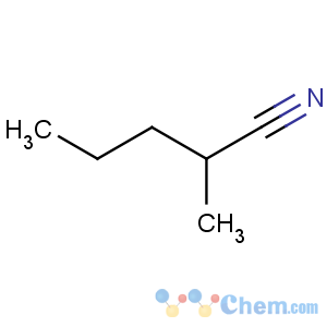CAS No:6339-13-5 Pentanenitrile,2-methyl-