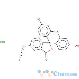CAS No:63469-13-6 Spiro[isobenzofuran-1(3H),9'-[9H]xanthen]-3-one,3',6'-dihydroxy-5-isothiocyanato-, hydrochloride (1:1)