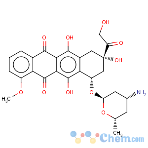 CAS No:63521-85-7 5,12-Naphthacenedione,10-[[(2S,4R,6S)-4-aminotetrahydro-6-methyl-2H-pyran-2-yl]oxy]-7,8,9,10-tetrahydro-6,8,11-trihydroxy-8-(2-hydroxyacetyl)-1-methoxy-,(8S,10S)-
