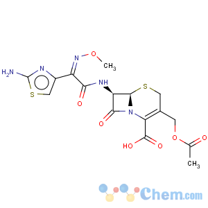 CAS No:63527-52-6 Cefotaxime