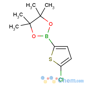 CAS No:635305-24-7 2-(5-chlorothiophen-2-yl)-4,4,5,5-tetramethyl-1,3,2-dioxaborolane