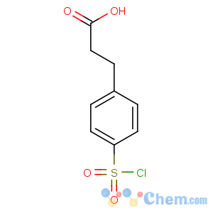 CAS No:63545-54-0 3-(4-chlorosulfonylphenyl)propanoic acid