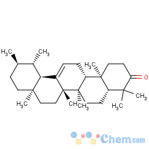 CAS No:638-96-0 Urs-12-en-3-one