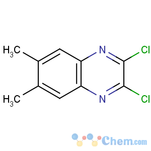 CAS No:63810-80-0 2,3-dichloro-6,7-dimethylquinoxaline