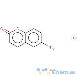 CAS No:63989-79-7 6-Aminocoumarin hydrochloride