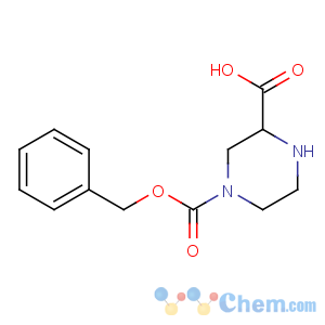 CAS No:64172-98-1 4-phenylmethoxycarbonylpiperazine-2-carboxylic acid