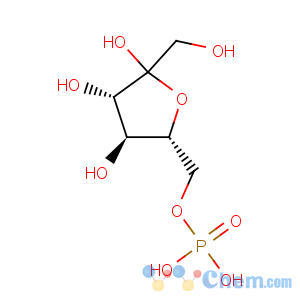 CAS No:643-13-0 D-Fructose,6-(dihydrogen phosphate)
