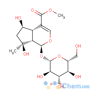 CAS No:64421-28-9 Cyclopenta[c]pyran-4-carboxylicacid, 1-(b-D-glucopyranosyloxy)-1,4a,5,6,7,7a-hexahydro-5,7-dihydroxy-7-methyl-,methyl ester, (1S,4aS,5R,7S,7aS)-