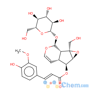 CAS No:64461-95-6 b-D-Glucopyranoside,(1aS,1bS,2S,5aR,6S,6aS)-1a,1b,2,5a,6,6a-hexahydro-6-hydroxy-1a-(hydroxymethyl)oxireno[4,5]cyclopenta[1,2-c]pyran-2-yl,6-[(2E)-3-(4-hydroxy-3-methoxyphenyl)-2-propenoate]