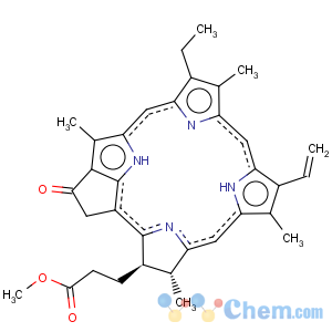 CAS No:6453-67-4 Pyropheophorbide-alpha methyl ester