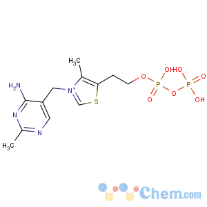 CAS No:64742-47-8 2-[3-[(4-amino-2-methylpyrimidin-5-yl)methyl]-4-methyl-1,<br />3-thiazol-3-ium-5-yl]ethyl phosphono hydrogen phosphate