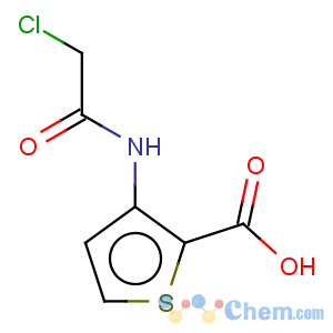 CAS No:648858-95-1 3-[(2-chloroacetyl)amino]thiophene-2-carboxylic acid