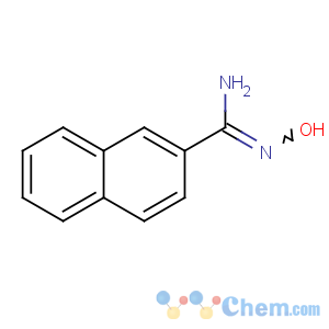 CAS No:64893-54-5 N'-hydroxynaphthalene-2-carboximidamide