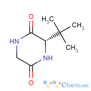 CAS No:65050-07-9 2,5-Piperazinedione,3-(1,1-dimethylethyl)-, (3S)-