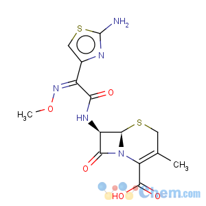 CAS No:65052-63-3 Cefetamet hydrochloride