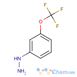 CAS No:650628-49-2 [3-(trifluoromethoxy)phenyl]hydrazine