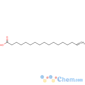 CAS No:65119-97-3 16-Heptadecenoic acid