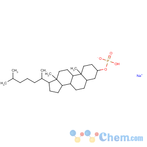 CAS No:65242-46-8 cholestan-3-yl dihydrogen phosphate