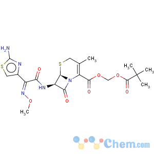 CAS No:65243-33-6 Cefetamet pivoxyl