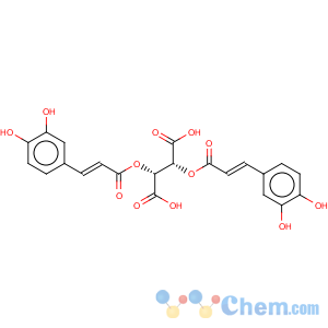 CAS No:6537-80-0 Chicoric acid