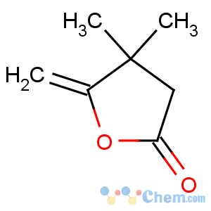 CAS No:65371-43-9 2(3H)-Furanone,dihydro-4,4-dimethyl-5-methylene-