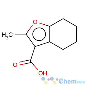 CAS No:65384-02-3 3-Benzofurancarboxylicacid, 4,5,6,7-tetrahydro-2-methyl-