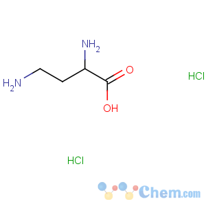 CAS No:65427-54-5 2,4-diaminobutanoic acid