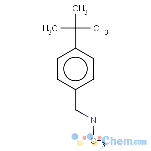 CAS No:65542-26-9 Benzenemethanamine,4-(1,1-dimethylethyl)-N-methyl-
